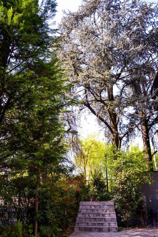 Alla Dimora Dei Cedri Bed and Breakfast San Donato Milanese Buitenkant foto